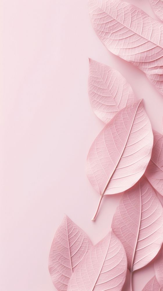 Pink aesthetic leafs wallpaper petal plant backgrounds.