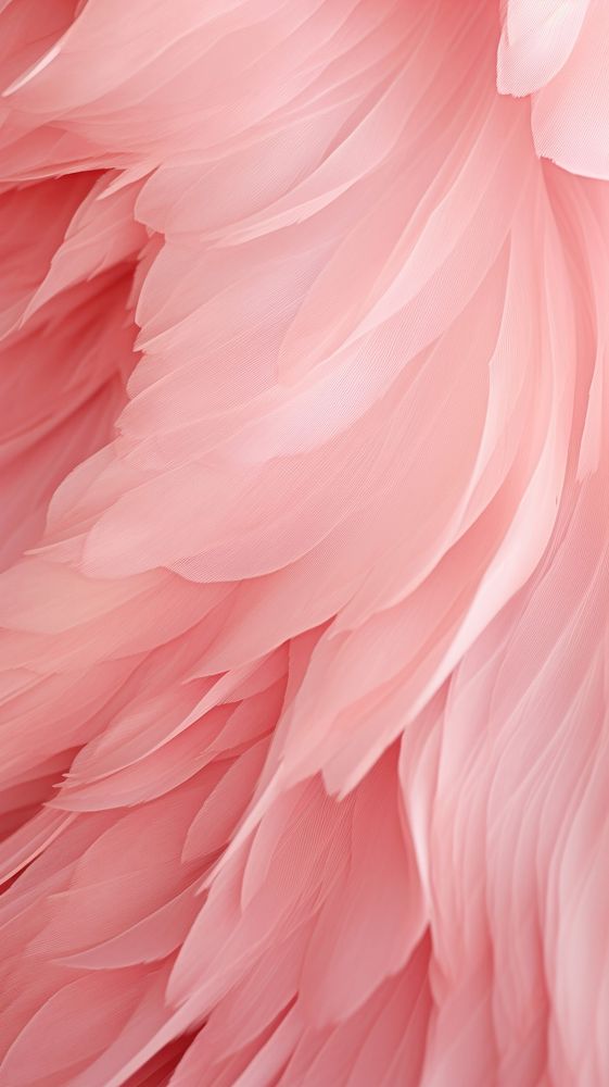 Abstract texture petal pink bird.