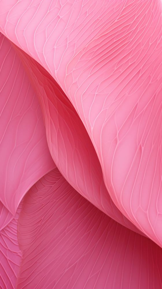 Abstract texture flamingo petal plant.