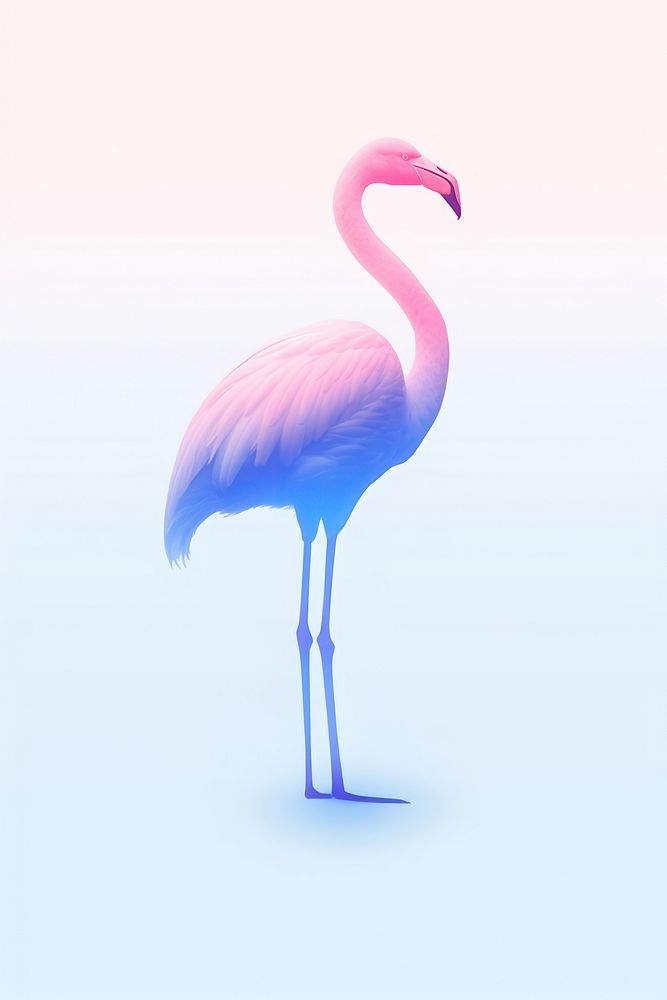 Abstract blurred gradient illustration flamingo animal bird pink.