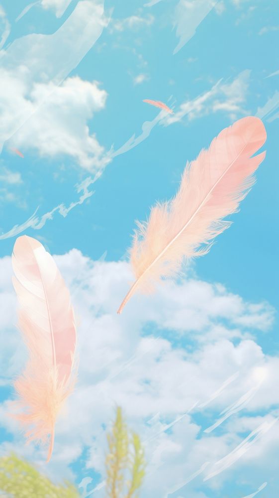 Feather modern sky backgrounds outdoors.