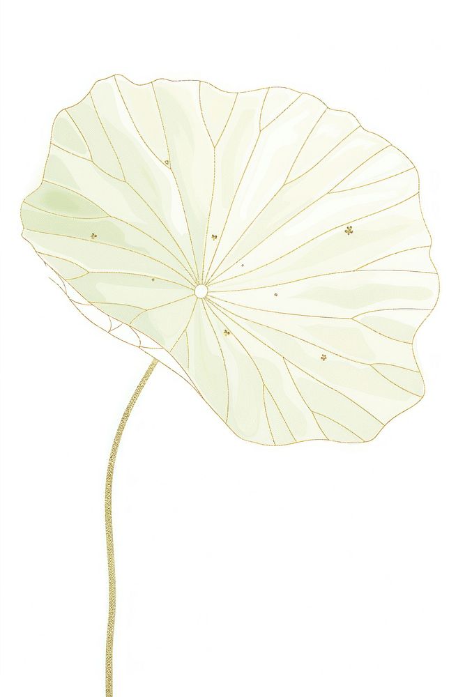 Lotus leaf plant petal line.