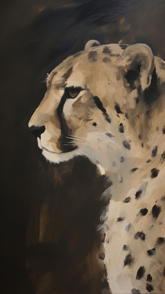 Cheetah cheetah wildlife leopard.