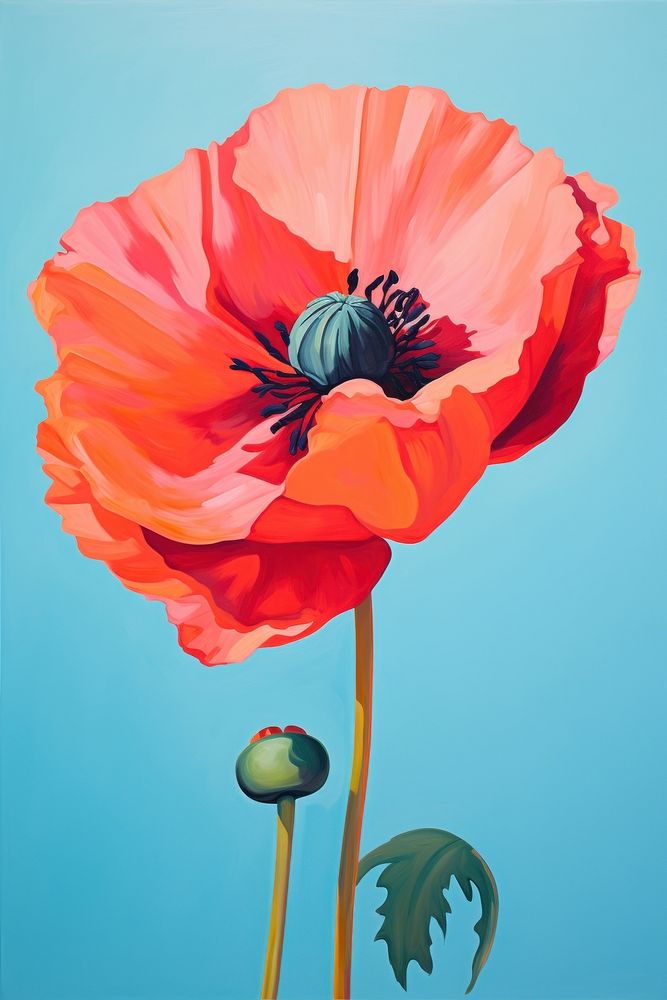 A poppy painting flower plant.