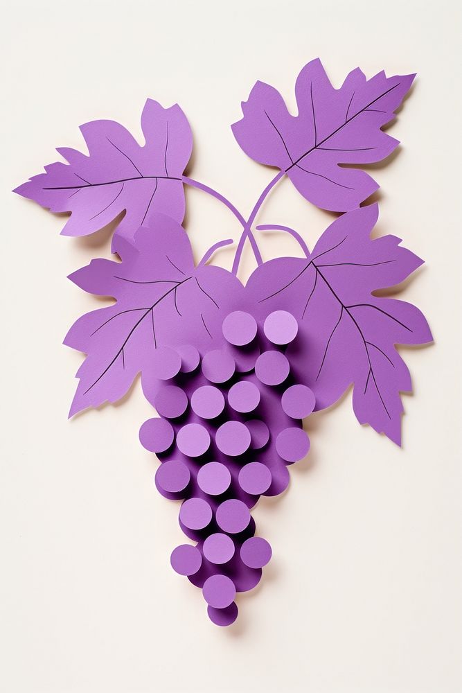 Grapes grapes purple plant.