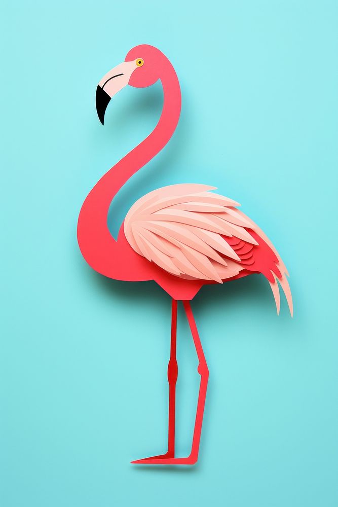 Flamingo flamingo animal bird.