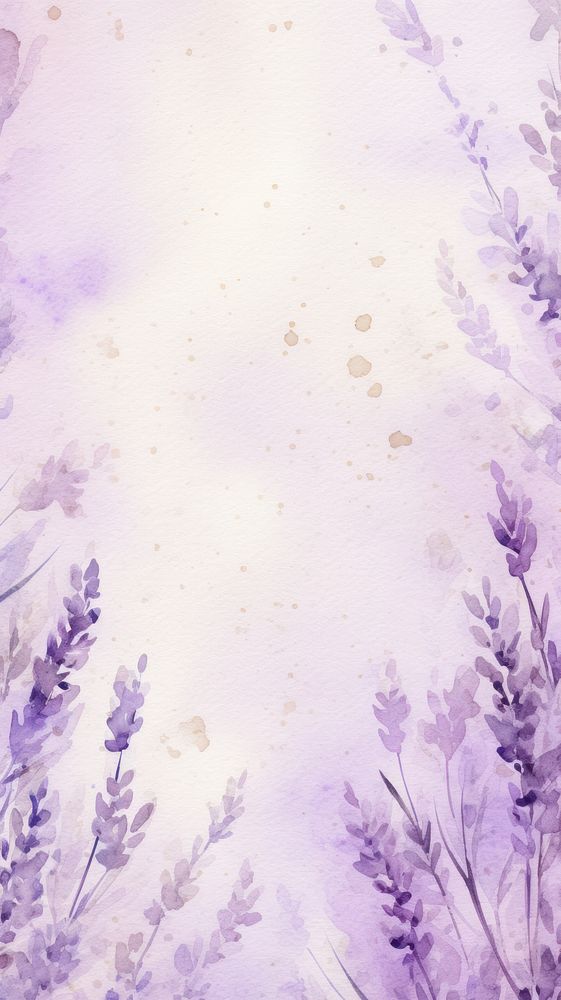 Lavender flower wallpaper purple plant backgrounds.