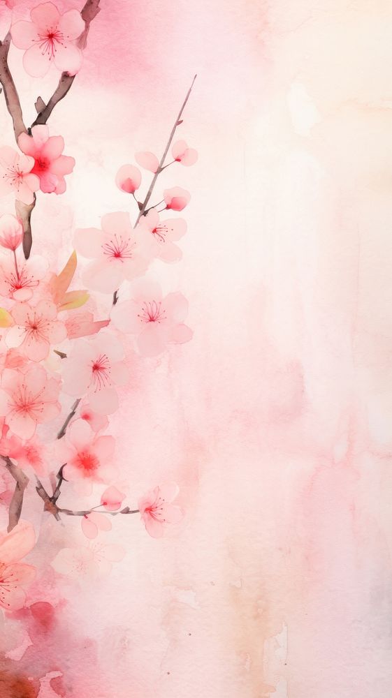 Wallpaper blossom flower plant petal.