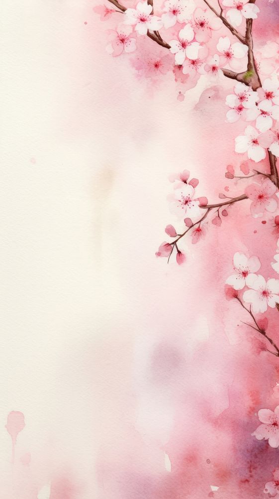 Wallpaper cherry blossom outdoors flower plant.