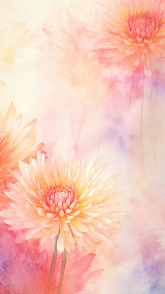 Wallpaper chrysanthemum chrysanths painting flower.