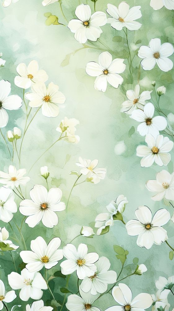 White flowers wallpaper outdoors blossom pattern.