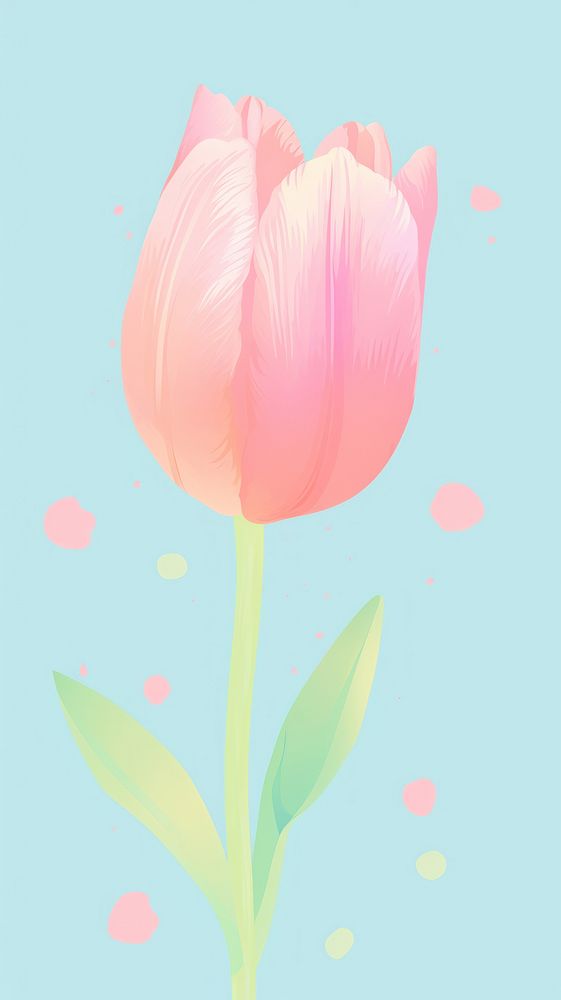 Cute tulip blossom flower petal.