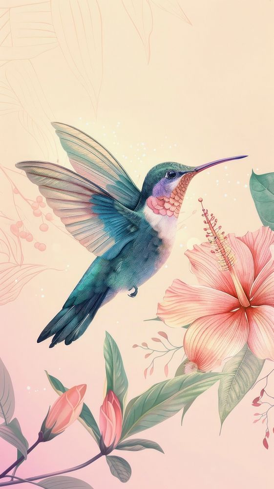 Wallpaper hummingbirds drawing animal sketch.