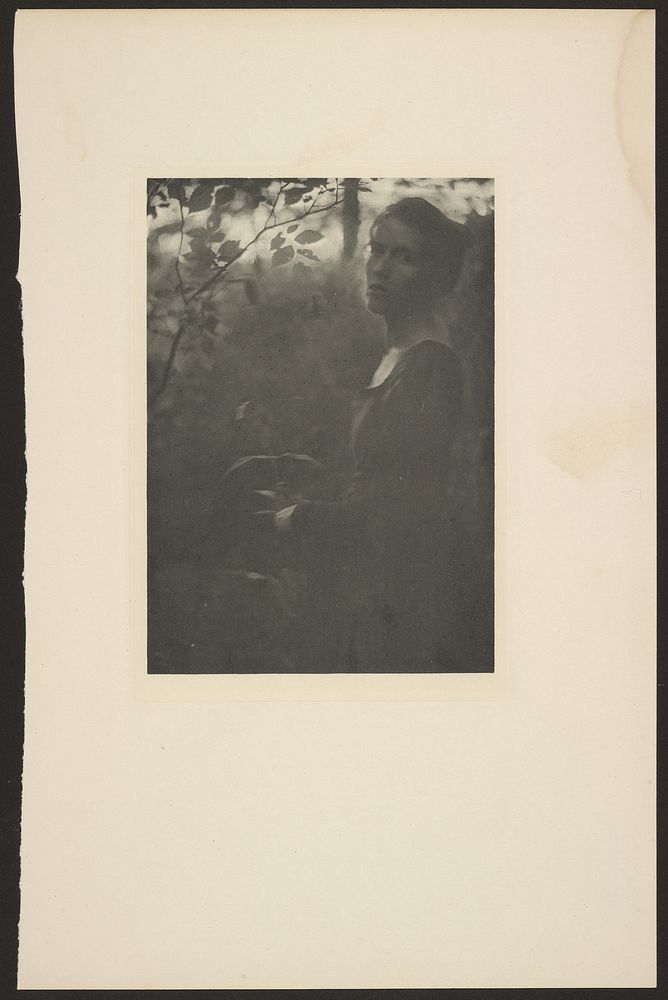 Edge of the Woods -- Evening by Clarence H White