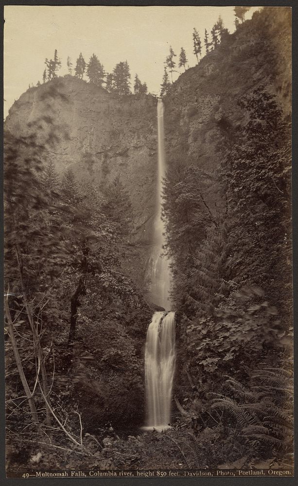 Multnomah Falls, Columbia River by Isaac Grundy Davidson