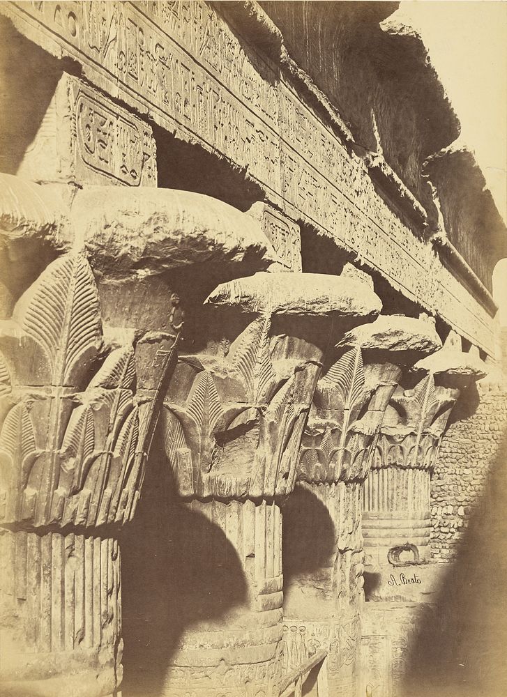 Upper Egypt - Temple of Esna by Antonio Beato