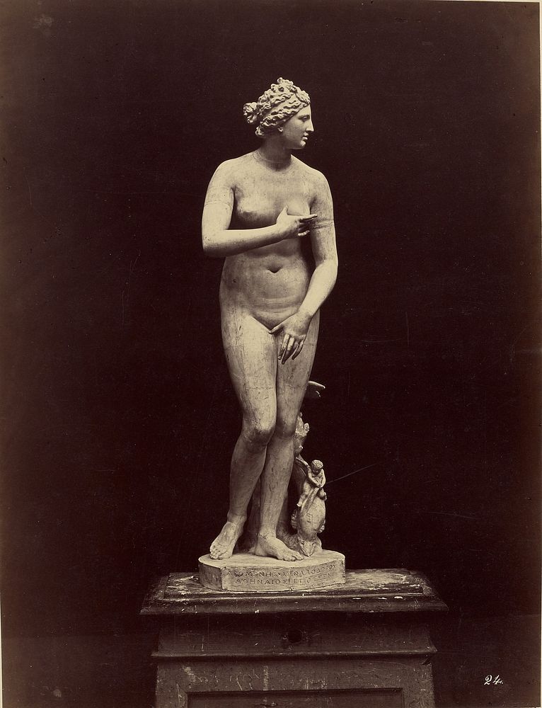 Venus di Medici by Fratelli Alinari