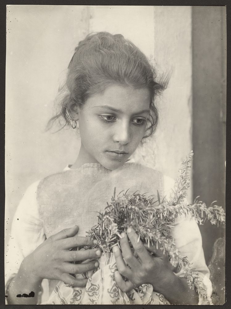 Girl with rosemary by Baron Wilhelm von Gloeden