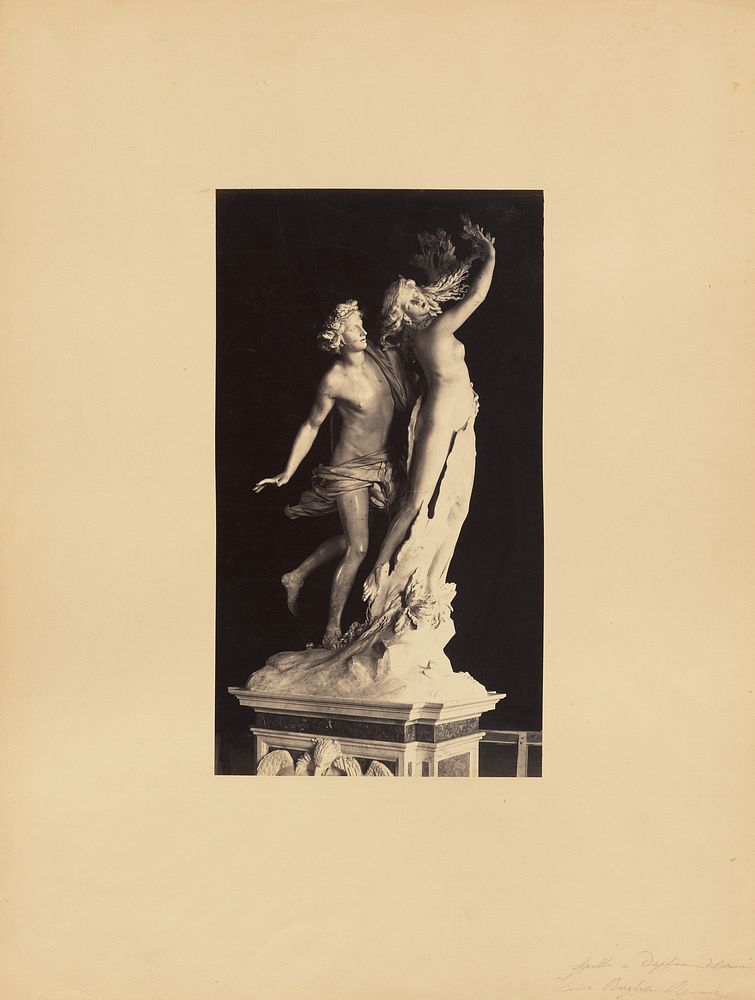 Bernini's Apollo and Daphne by James Anderson