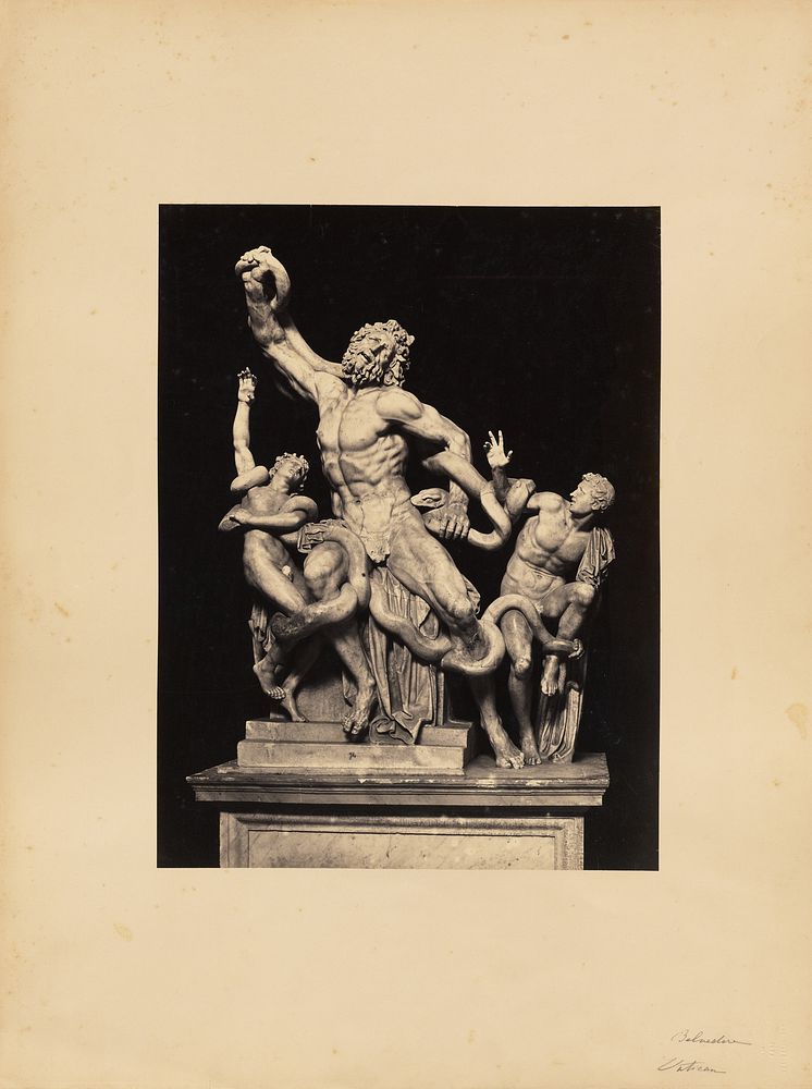 Laocoon by James Anderson