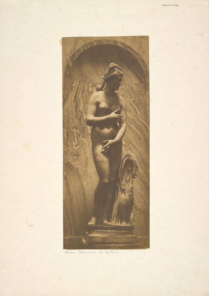 Capitoline Venus by Giacomo Caneva