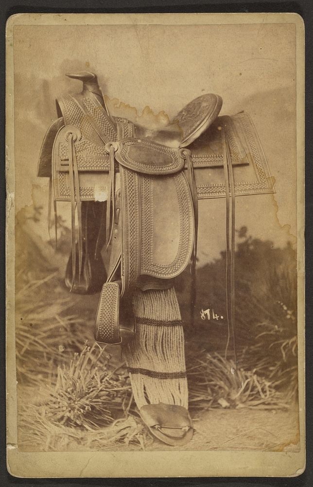 saddle by Joseph Collier