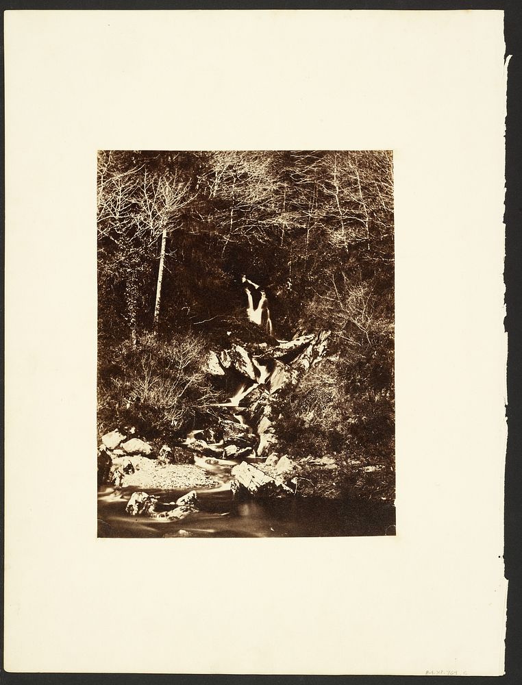 Wooded stream by Francis Edmond Currey