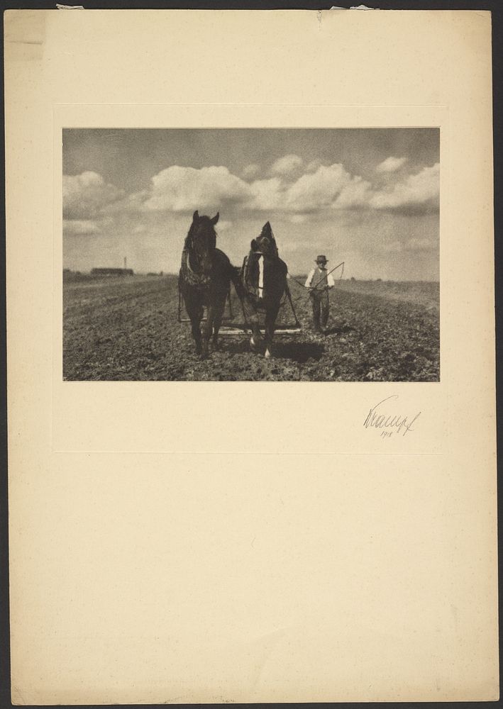 Man guiding plow with horses by Günther Krampf