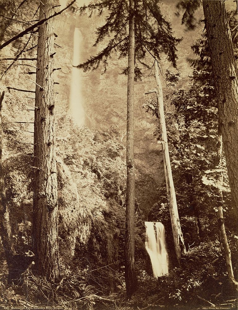 Multnomah Falls, Columbia River, Oregon / [Multnomah Falls, Side] by Carleton Watkins and I W Taber