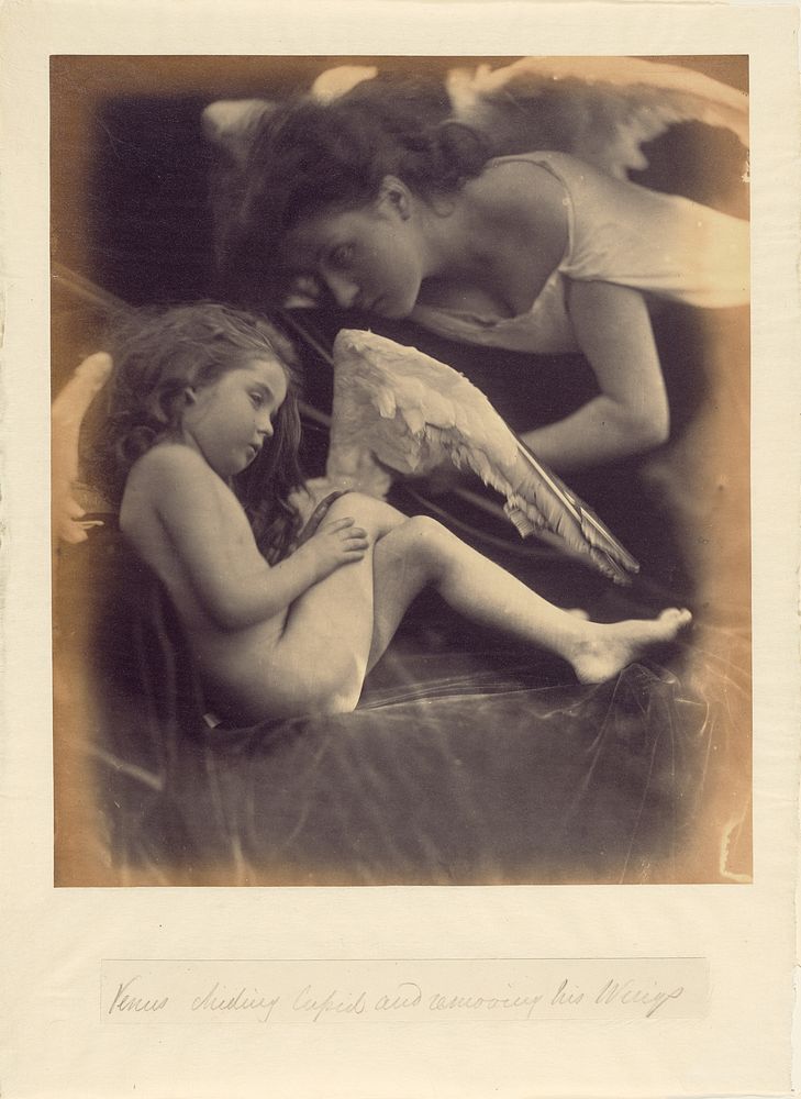 Venus Chiding Cupid and Removing His Wings by Julia Margaret Cameron