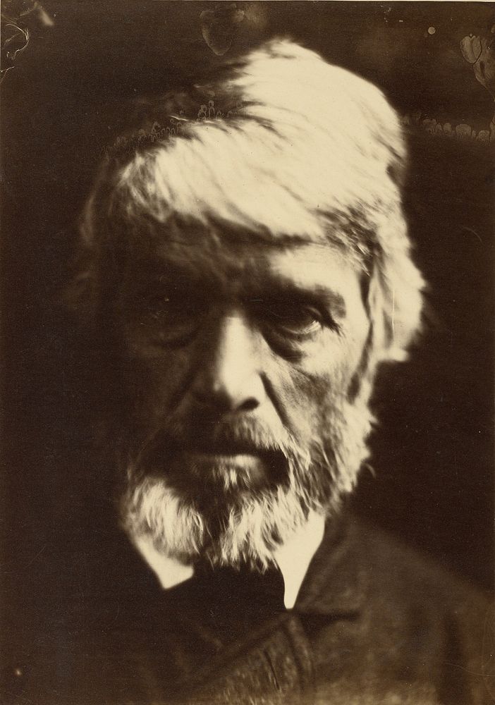 Thomas Carlyle by Julia Margaret Cameron