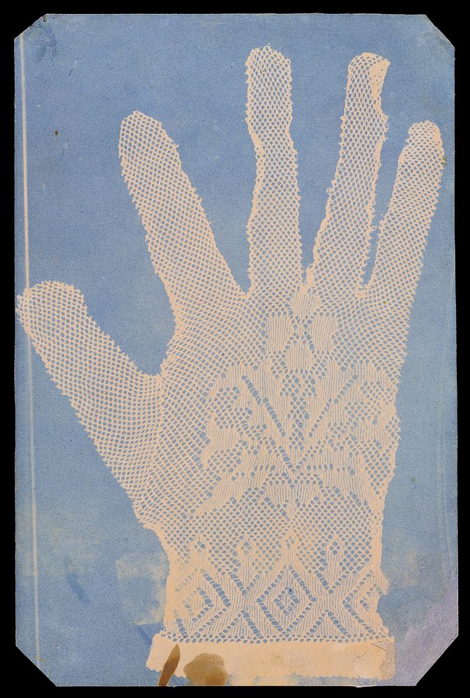 Lace Glove by Hippolyte Bayard