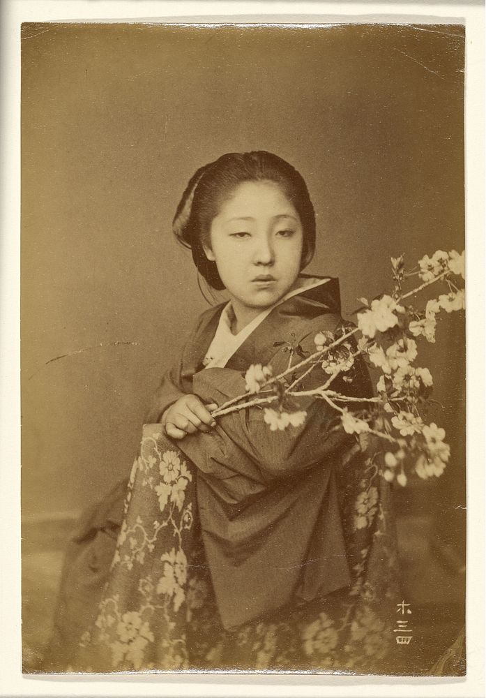 Japanese Woman Holding Blossoming Prunus Branch