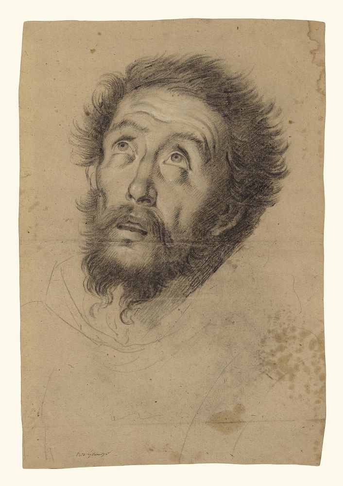 Head of Saint Francis (recto); Studies of the Head of Saint Francis, Head of an Old Man, and Two Right Hands (verso) by…