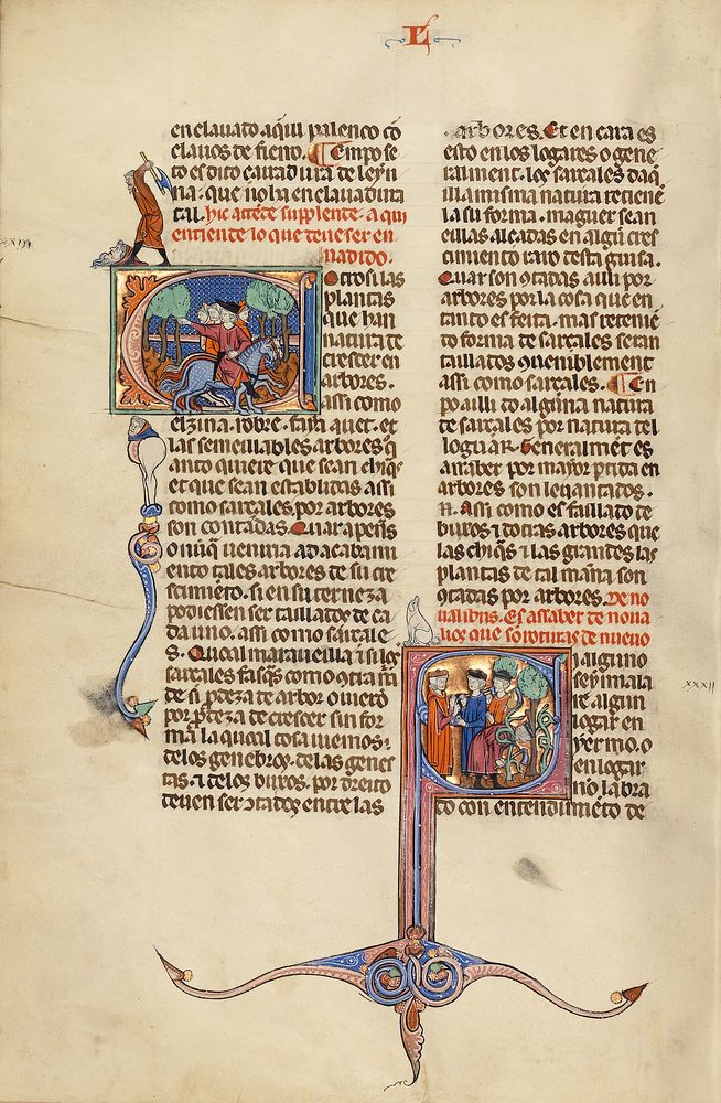 Initial E: Riders on Horseback; Initial S: A Judge and Men with Axes in a Vineyard by Michael Lupi de Çandiu