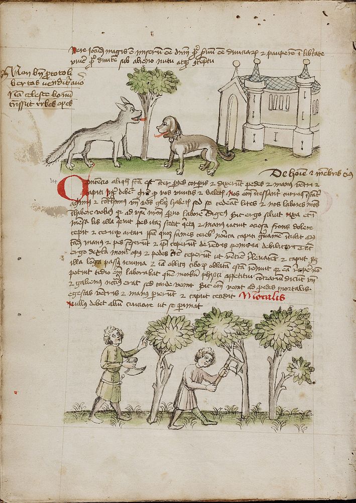 A Wolf and a Dog under a Tree; Two Men Chopping Trees