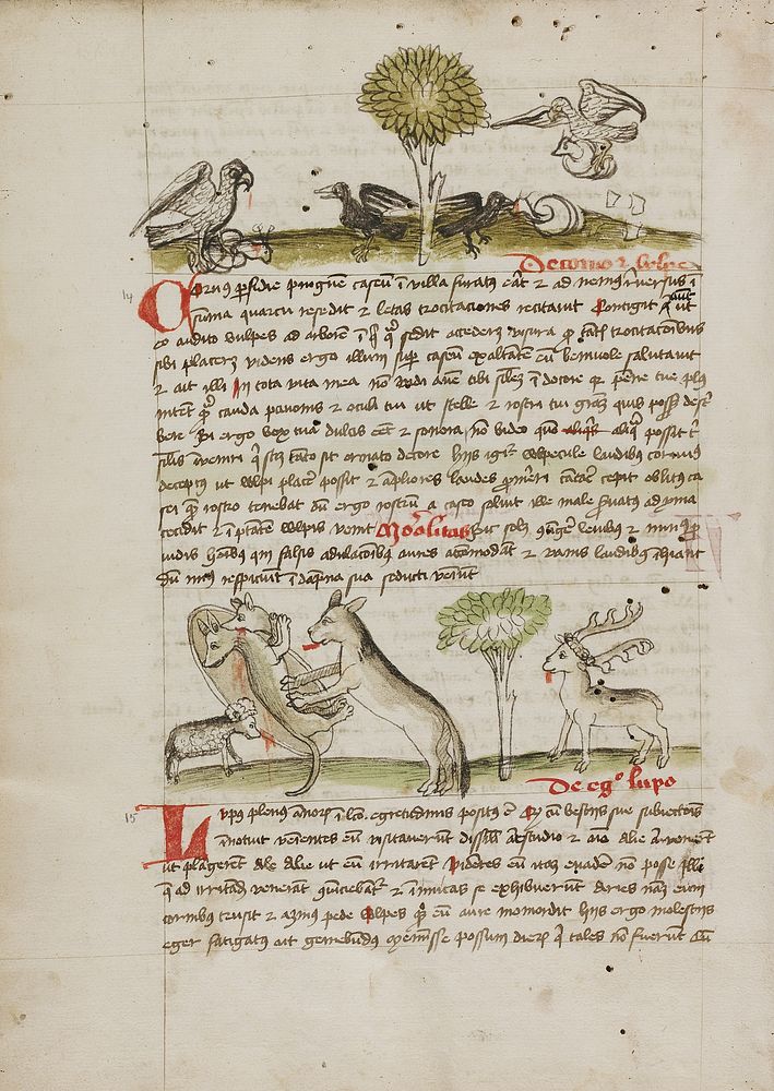 A Dog Biting a Wolf Laying Near his Den and Nearby a Sheep, a Donkey and a Stag