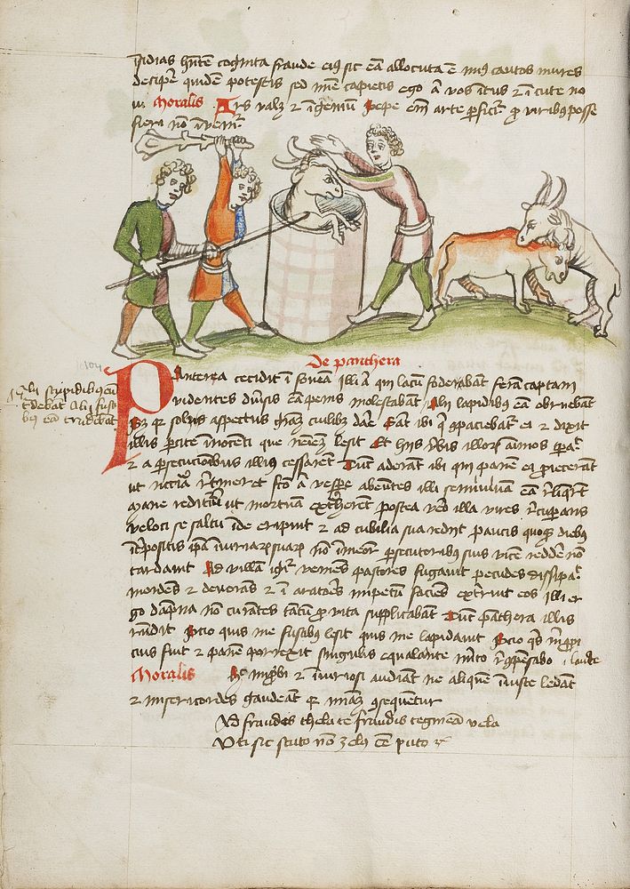 A Panther, Which Attacked a Cow, is Slain