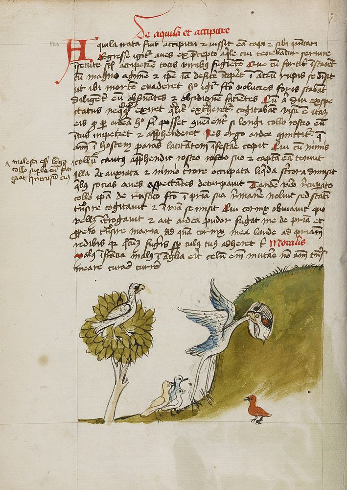 An Eagle Sitting in a Tree, a Stork with its Neck in a Hole, and Other Birds