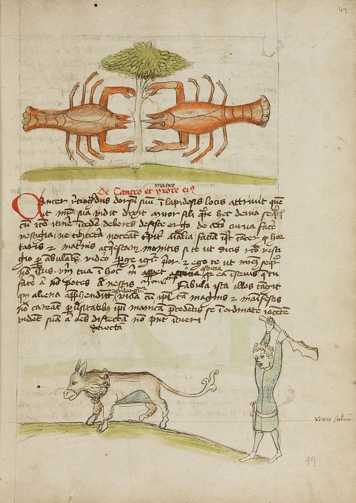 A Crab and Its Mother; A Man Hitting a Donkey