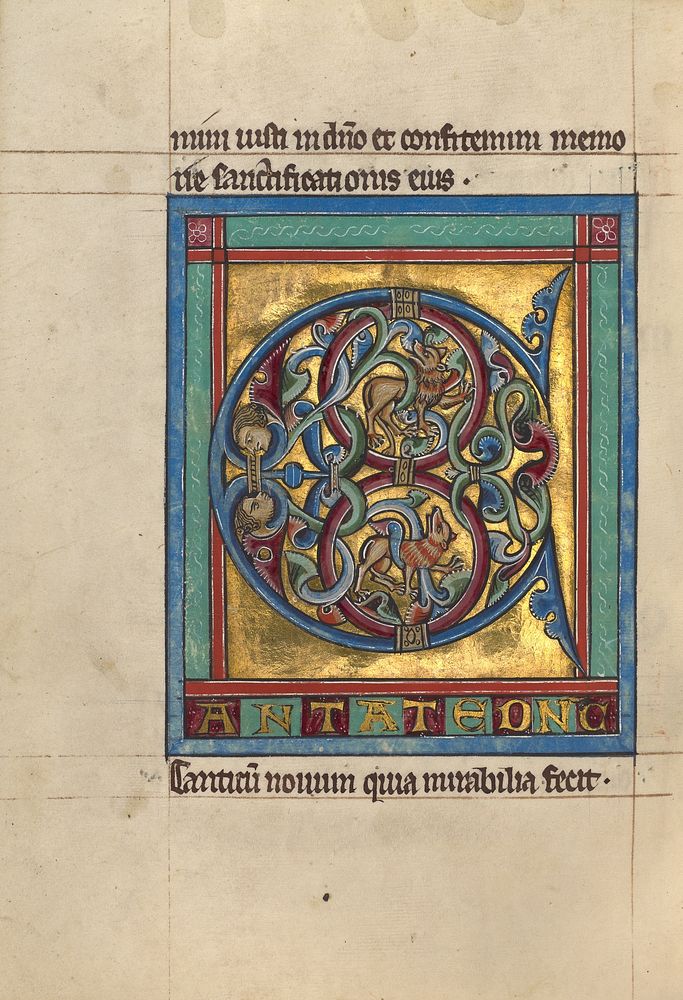 Initial C: Lions and Two Male Heads