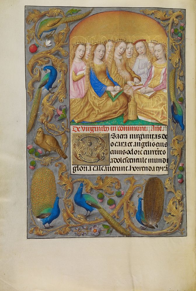 Virgin Saints by Master of the First Prayer Book of Maximilian