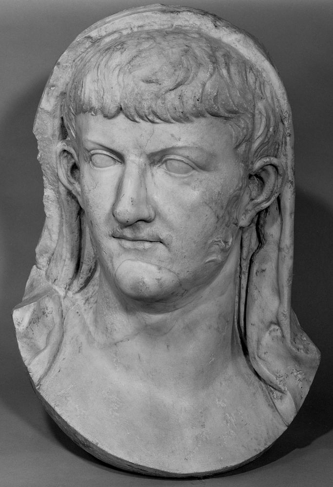 Portrait Head of a Julio-Claudian Prince