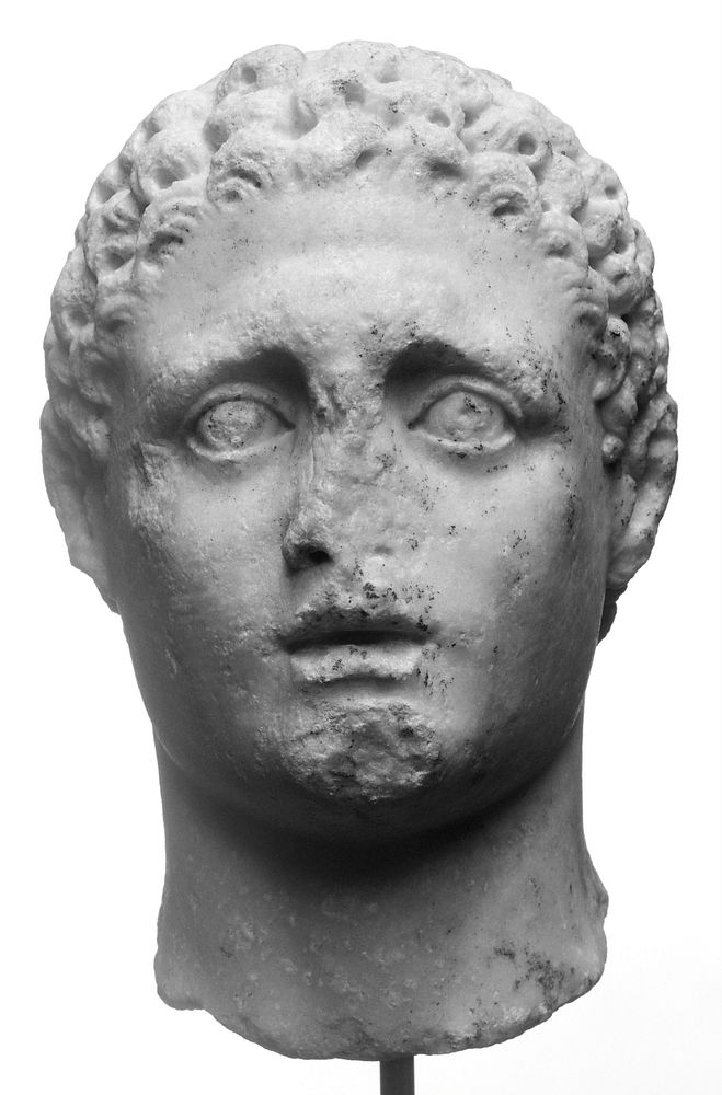 Head of a Male Figure, perhaps Hercules