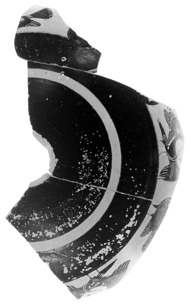 Attic Black-Figure Band Cup Fragment (comprised of 2 joined fragments)