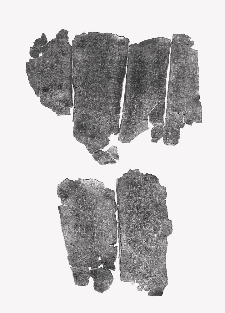 Lamella Fragment (comprised of 6 unjoined fragments)