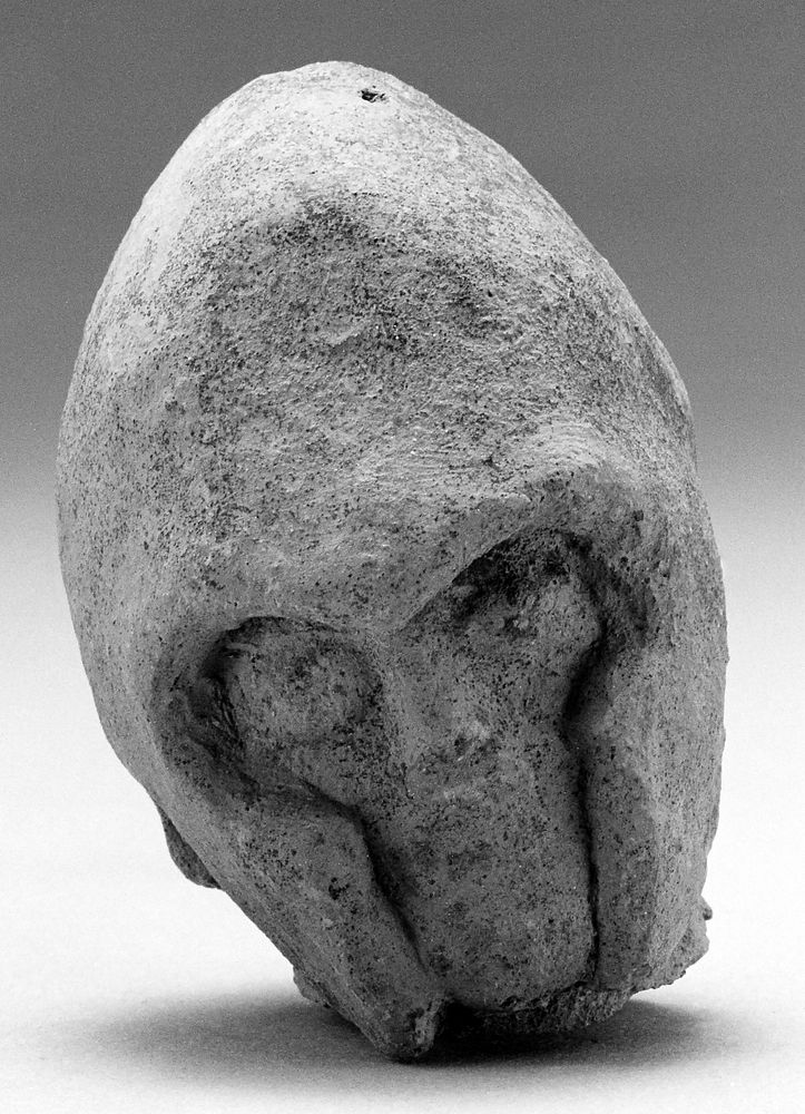 Head of a Male Warrior
