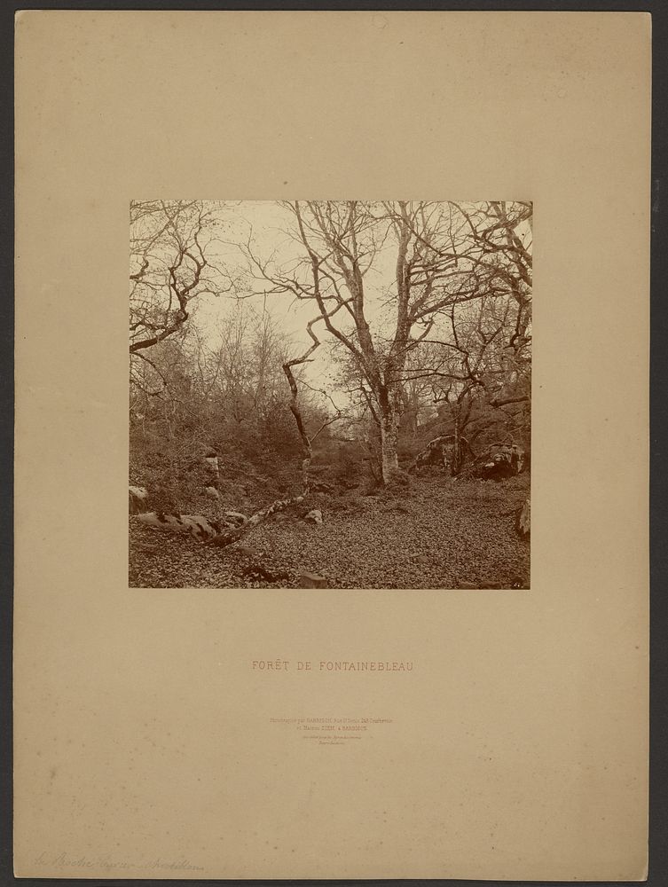 Forét de Fontainebleau by William Drooke Harrison