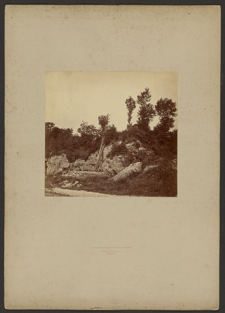 Forêt de Fontainebleau by William Drooke Harrison