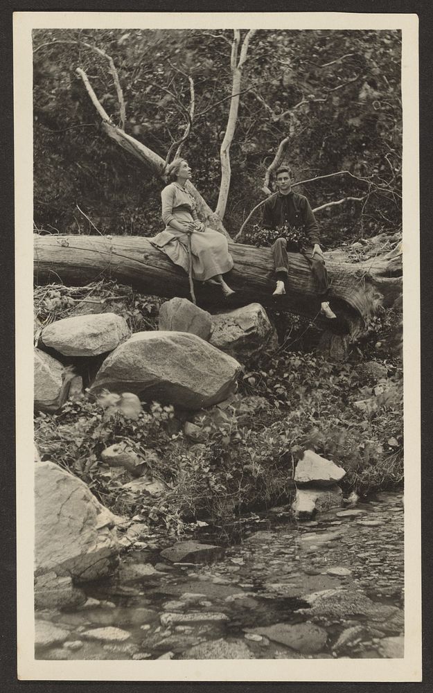 Figures Seated on Fallen Tree over Stream by Louis Fleckenstein